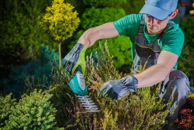 landscaping services Nicholson
